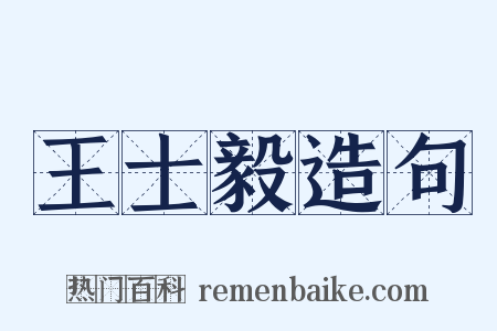 王士毅造句是什么意思的图片